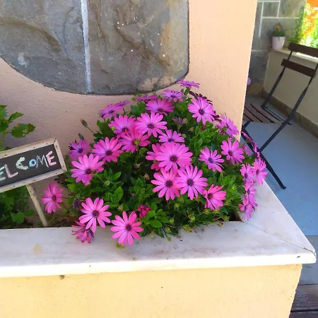 House With Garden Сasa de vacaciones *